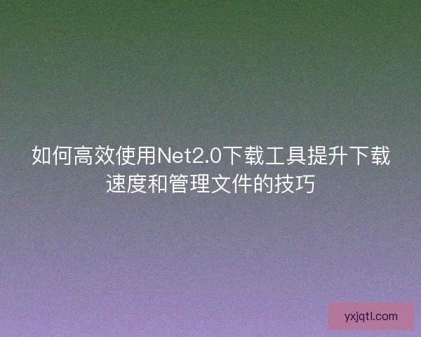如何高效使用Net2.0下载工具提升下载速度和管理文件的技巧